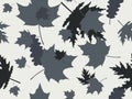 Autumn leaves seamless pattern. Falling leaves, leaf fall. Oak and maple. Background for wrapping paper, print, fabric Royalty Free Stock Photo