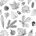 Autumn leaves seamless pattern. Hand drawn fallen leaf, acorns, cones print for textile. Wallpapers, gift wrap or