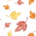 Autumn leaves seamless pattern. Hand drawn. watercolor painting. Colorful leaves isolated on white background. Fall theme. Perfect Royalty Free Stock Photo