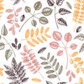 Autumn leaves seamless pattern. With hand sketched forest plants and foliage illustrations. Perfect for invitation, textile,