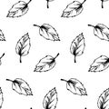 Autumn leaves seamless pattern isolated on white background. Hand drawn sketch vector illustration. Vintage line art Royalty Free Stock Photo