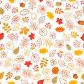 Autumn leaves seamless pattern. Leaf icon set in ornamental tile background. Fall nature backdrop in line art style Royalty Free Stock Photo