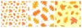 Autumn leaves. Seamless pattern set. Vector yellow and orange leaf. Scrapbook, gift wrapping paper, textiles. Hello, october. Royalty Free Stock Photo