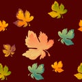 Autumn leaves seamless pattern, vector background. Red, yellow and green maple leaf, For the design of wallpaper, fabric Royalty Free Stock Photo