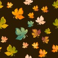 Autumn leaves seamless pattern, vector background. Red, yellow and green maple leaf, For the design of wallpaper, fabric Royalty Free Stock Photo