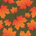 Autumn leaves, seamless pattern, vector background. Yellow orange maple leaf on a green . For the design of wallpaper