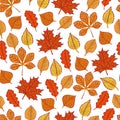 autumn leaves seamless pattern Royalty Free Stock Photo