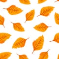 Autumn leaves seamless pattern.