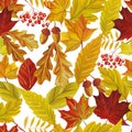 Autumn leaves seamless pattern white background Royalty Free Stock Photo