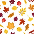 Autumn leaves seamless vector pattern. Background from various autumn leaves. Royalty Free Stock Photo