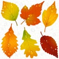 Autumn leaves and seamless vein background