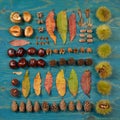 Autumn leaves, seeds and fruits in square on cyan