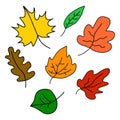 Autumn leaves set. Cartoon flat style. Vector illustration isolated on background. Royalty Free Stock Photo