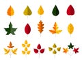 Autumn leaves set, isolated on white background. Cartoon leaf collection in flat style. Vector illustration Royalty Free Stock Photo