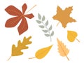 Autumn leaves set, isolated on white background. Simple cartoon flat style