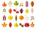 Autumn leaves set, isolated on white background. simple cartoon flat style, vector illustration. Royalty Free Stock Photo