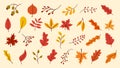 Autumn Leaves Set, Vector Illustration, Autumn leaves or fall foliage icons, Falling poplar, autumn leaves for seasonal holiday Royalty Free Stock Photo