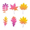 Autumn leaves set. Vector illustration.