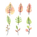 Autumn leaves set watercolor with colorful colors Royalty Free Stock Photo