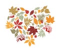 Autumn leaves in the shape of heart.