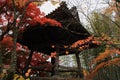 Autumn leaves at Shuzenji temple