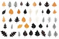 Autumn Leaves Silhouettes, Foliage Silhouette Isolated, Fall Tree Leaf Shapes With Maple, Oak, Birch and Other