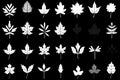 Autumn Leaves Silhouettes, Foliage Silhouette Isolated, Fall Tree Leaf Shapes With Maple, Oak, Birch and Other