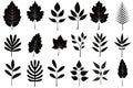 Autumn Leaves Silhouettes, Foliage Silhouette Isolated, Fall Tree Leaf Shapes With Maple, Oak, Birch and Other