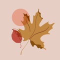 Autumn leaves simple composition. Falling maple leaf minimal art background