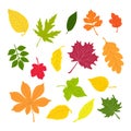 Autumn leaves simple vector minimalist concept flat style illustration, multicolored hand drawn natural floral elements set Royalty Free Stock Photo