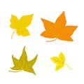 Autumn leaves simple vector minimalist concept flat style illustration, multicolored hand drawn natural floral elements set Royalty Free Stock Photo