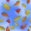 Autumn leaves on sky, seamless Royalty Free Stock Photo