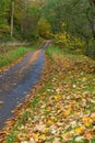 Autumn leaves on a small country road leading up a hill. Royalty Free Stock Photo