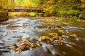 Autumn leaves in South Fork Silver Creek and wooden bridge in ba Royalty Free Stock Photo