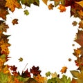 Autumn leaves square frame border isolated on white