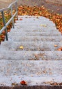 Autumn leaves stairs