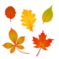 Autumn leaves stickers