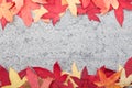 Autumn leaves on stone background