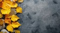 Autumn leaves on a stone background Royalty Free Stock Photo