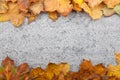 Autumn leaves on stone background