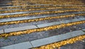 Autumn leaves on stone steps. Royalty Free Stock Photo