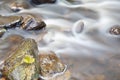 Autumn Leaves In Stream, Eifel Royalty Free Stock Photo