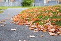 Autumn leaves on the street, fallen on the ground in the yard near houses Royalty Free Stock Photo