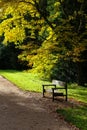 Autumn Leaves Sunny Fall Landscape Colorful Foliage Background Royalty Free Stock Photo