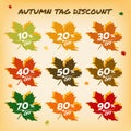 Autumn leaves tag discount. Autumn season Royalty Free Stock Photo