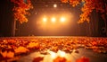 Autumn leaves on a theater stage Royalty Free Stock Photo