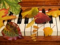 Autumn Leaves Tickle the Ivories