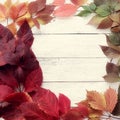 Autumn leaves on toned beige square wooden background