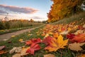 Autumn Leaves on a Trail at Sunset Royalty Free Stock Photo