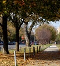 Autumn Leaves, Trees, Fence And Sidewalk Royalty Free Stock Photo